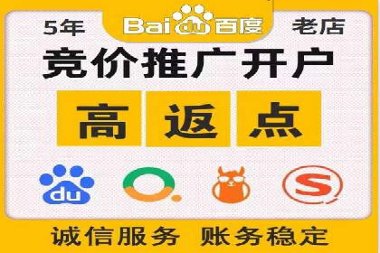 百度竞价赚钱的技巧与成功案例探讨